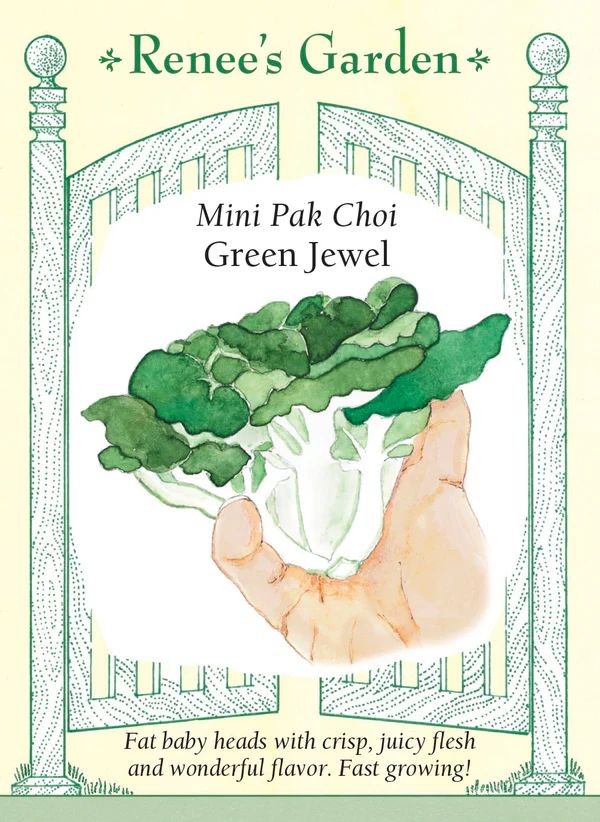 (Seed) Pak Choi Jewel Mini $3.69