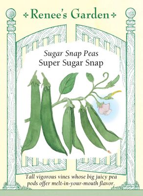 (Seed) Pea Snap Super Sugar Snaps $3.39