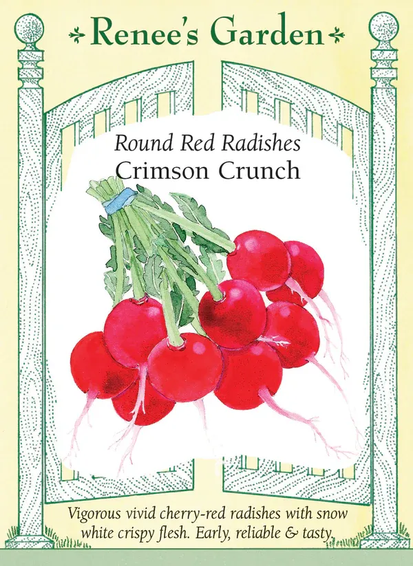 (Seed) Radish Crimson Crunch $3.99