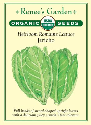 (Seed) Lettuce Jericho Romaine Organic $4.89