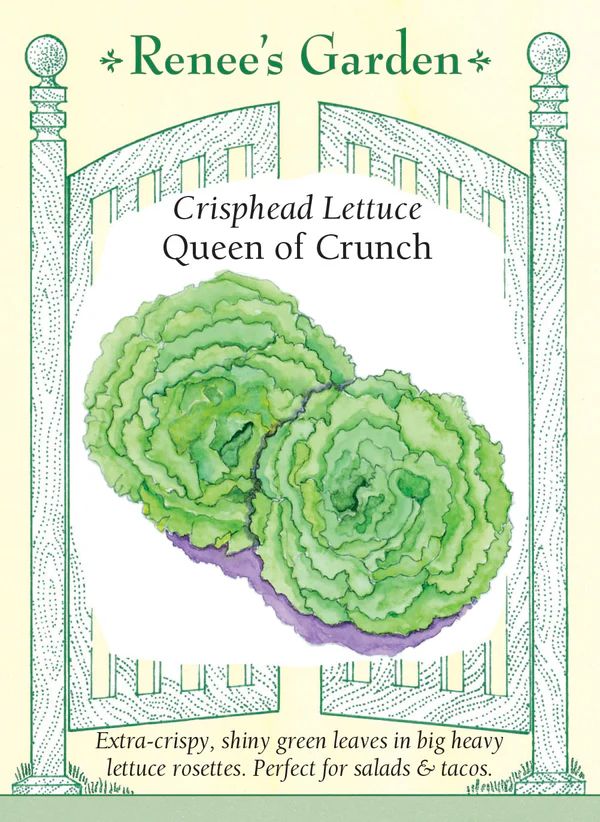 (Seed) Lettuce Queen of Crunch Crisphead $4.39