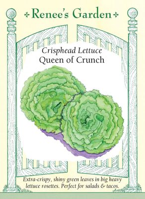 (Seed) Lettuce Queen of Crunch Crisphead $4.39
