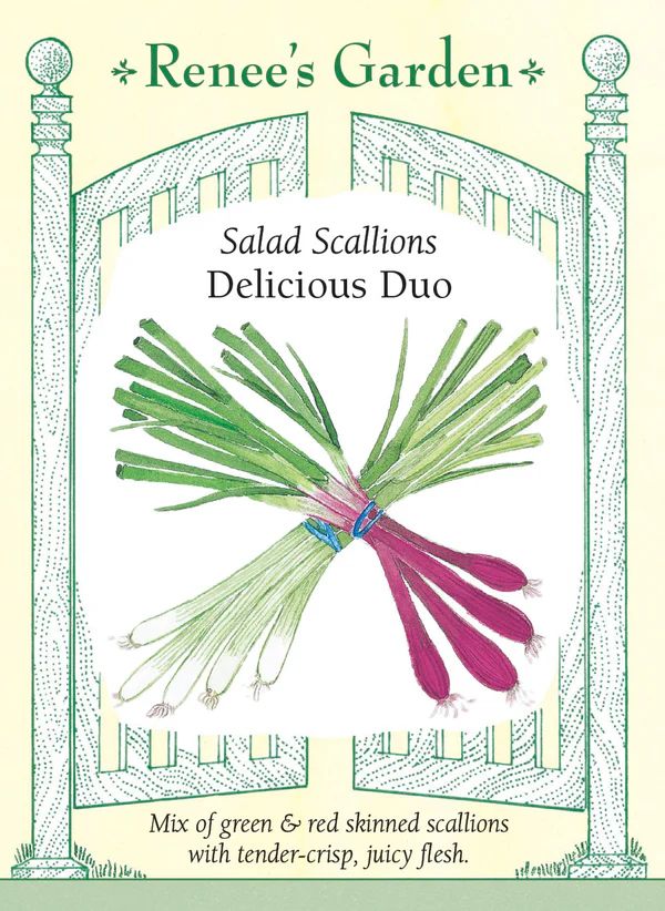 (Seed) Onion Scallion Delicious Duo $3.99
