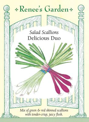 (Seed) Onion Scallion Delicious Duo $3.99