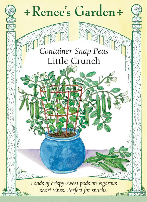 (Seed) Pea Snap Little Crunch Container $4.69