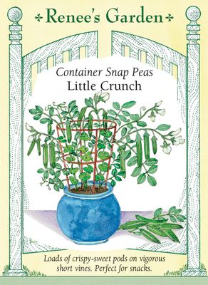(Seed) Pea Snap Little Crunch Container $4.69