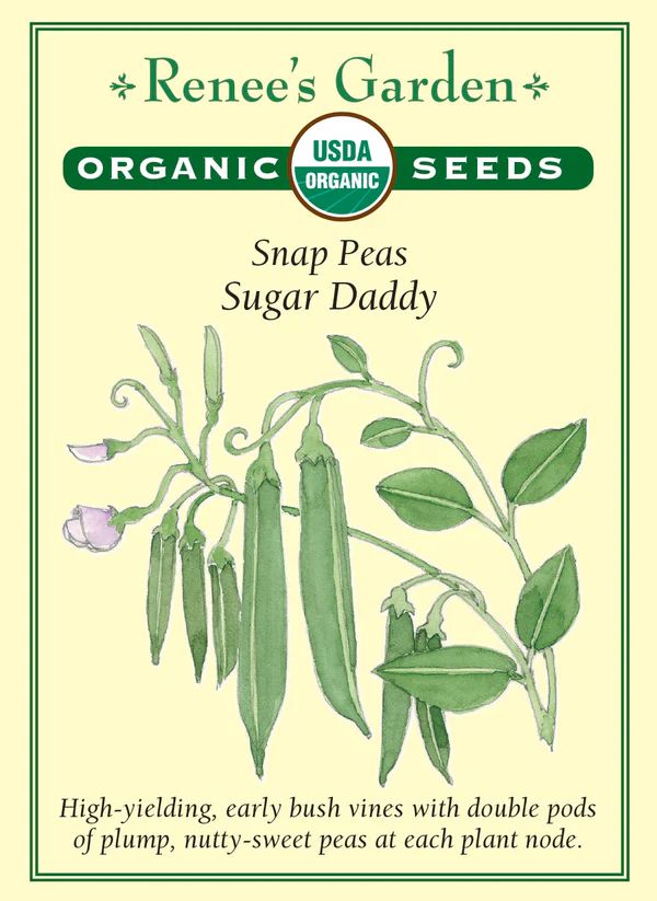 (Seed) Pea Snap Sugar Daddy Organic $4.89