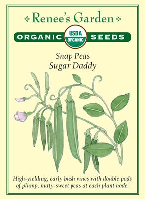 (Seed) Pea Snap Sugar Daddy Organic $4.89