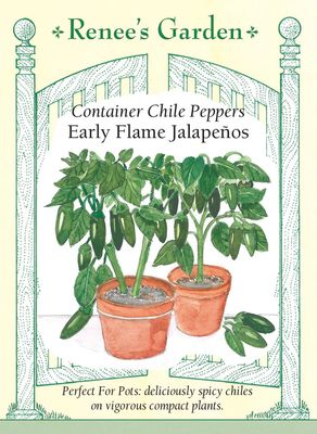 (Seed) Pepper Chile Jalapeno Early Flame Container $4.99