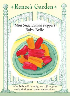 (Seed) Pepper Sweet Baby Belle Minis $3.99