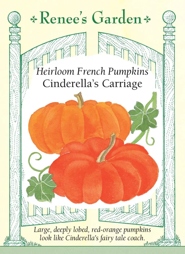 (Seed) Pumpkin Cinderella's Carriage $4.39