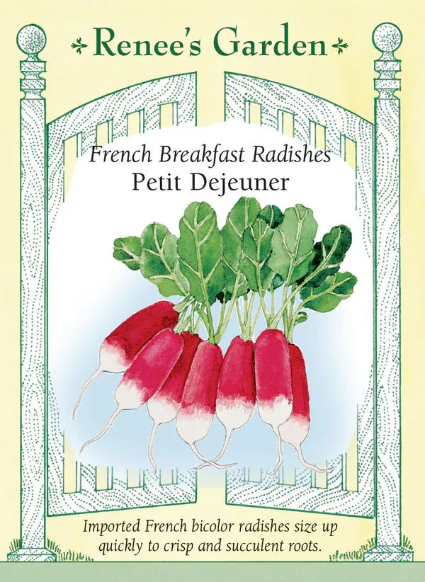 (Seed) Radish Petit Dejeuner $2.99