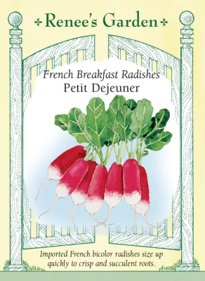 (Seed) Radish Petit Dejeuner $2.99