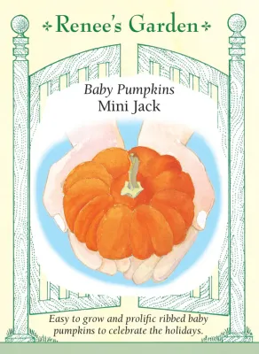 (Seed) Pumpkin Mini Jack $2.99