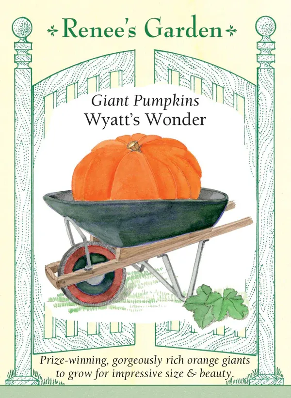 (Seed) Pumpkin Wyatt's Wonder Giant $3.99