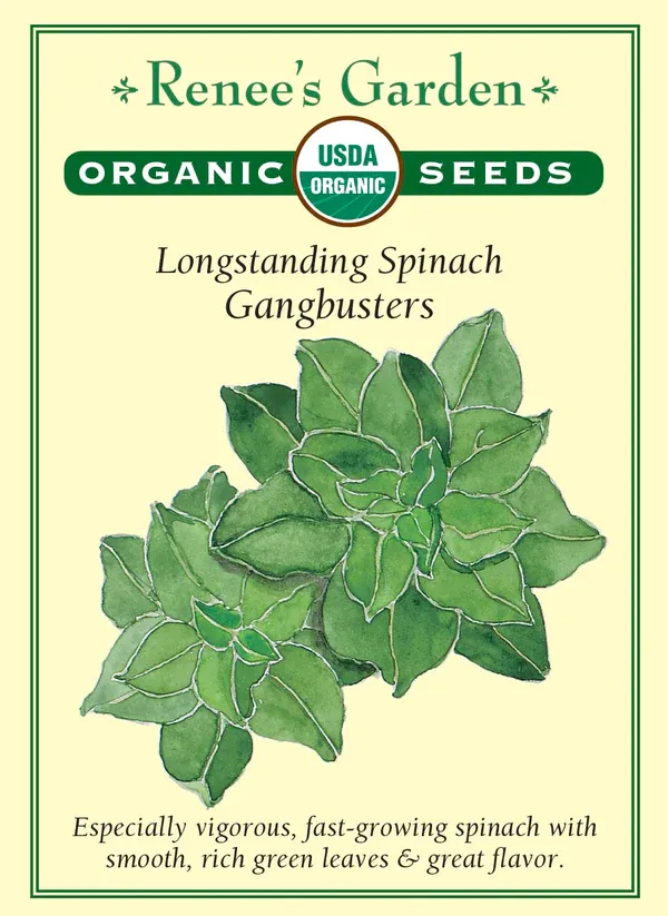 (Seed) Spinach Gangbusters Organic $4.89
