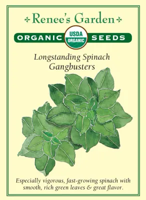 (Seed) Spinach Gangbusters Organic $4.89