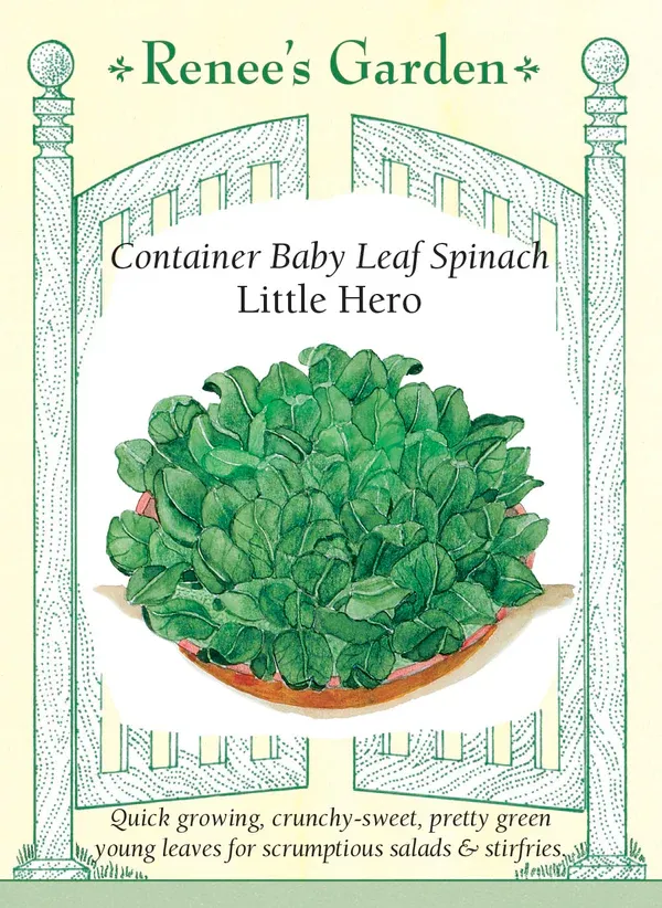 (Seed) Spinach Little Hero Container $3.99