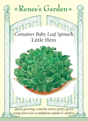 (Seed) Spinach Little Hero Container $3.99