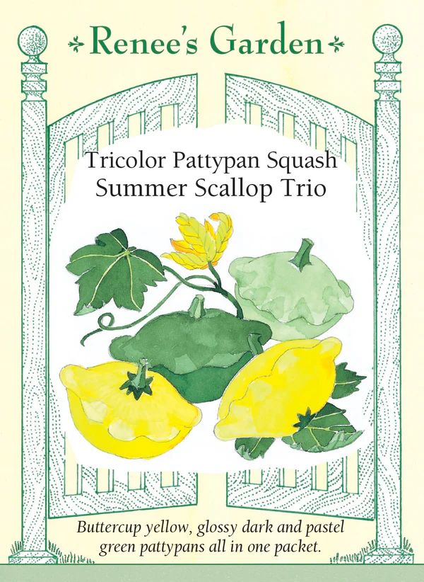 (Seed) Squash Summer Scallop Trio $4.39