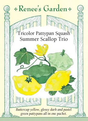 (Seed) Squash Summer Scallop Trio $4.39