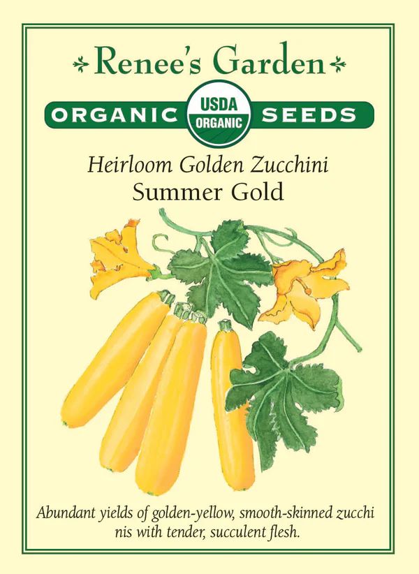 (Seed) Squash Summer Zucchini Summer Gold Organic $4.89