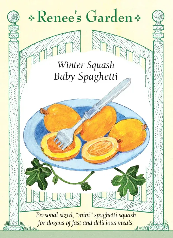 (Seed) Squash Winter Baby Spaghetti $3.99 (Seed) Squash Winter Baby Spaghetti $3.99