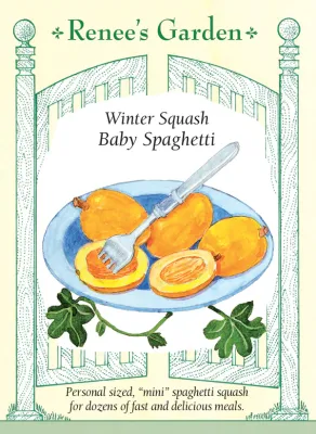 (Seed) Squash Winter Baby Spaghetti $3.99 (Seed) Squash Winter Baby Spaghetti $3.99