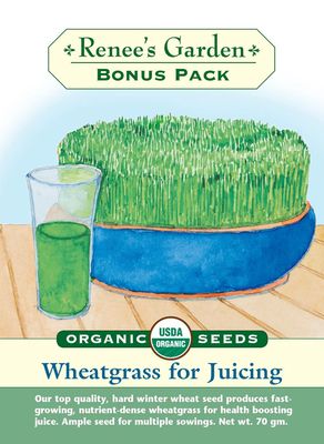 (Seed) Bonus Pack Wheatgrass For Juicing Organic $6.99