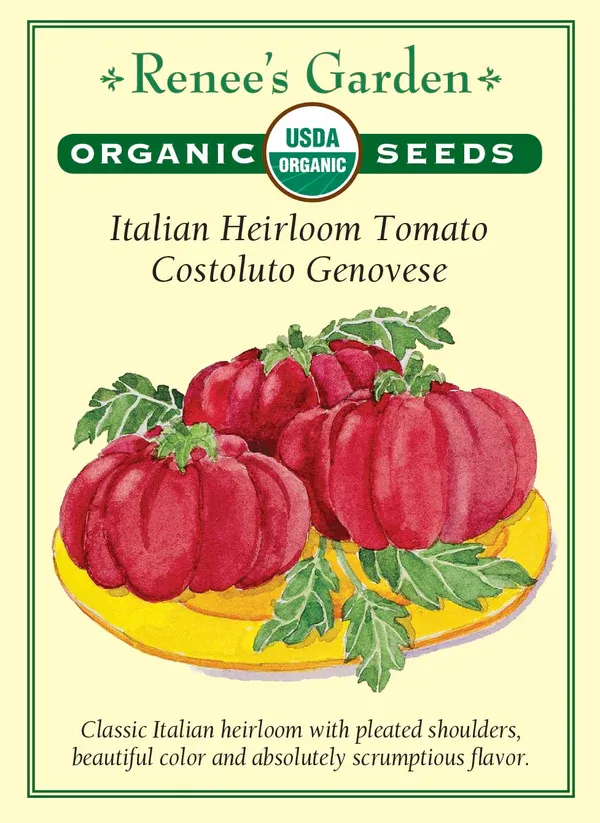 (Seed) Tomato Costoluto Genovese Organic $4.89