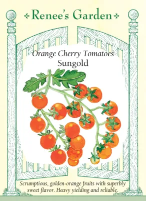 (Seed) Tomato Cherry Sungold $4.99 (Seed) Tomato Cherry Sungold $4.99