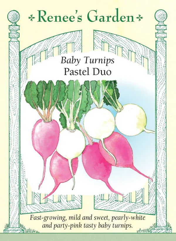 (Seed) Turnip Baby Pastel Duo $3.99 (Seed) Turnip Baby Pastel Duo $3.99