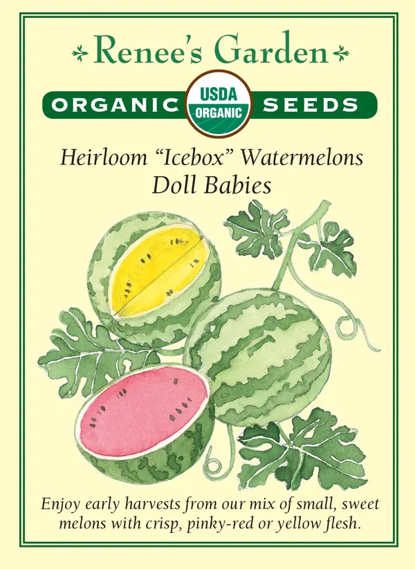 (Seed) Watermelon Doll Babies Organic $4.89