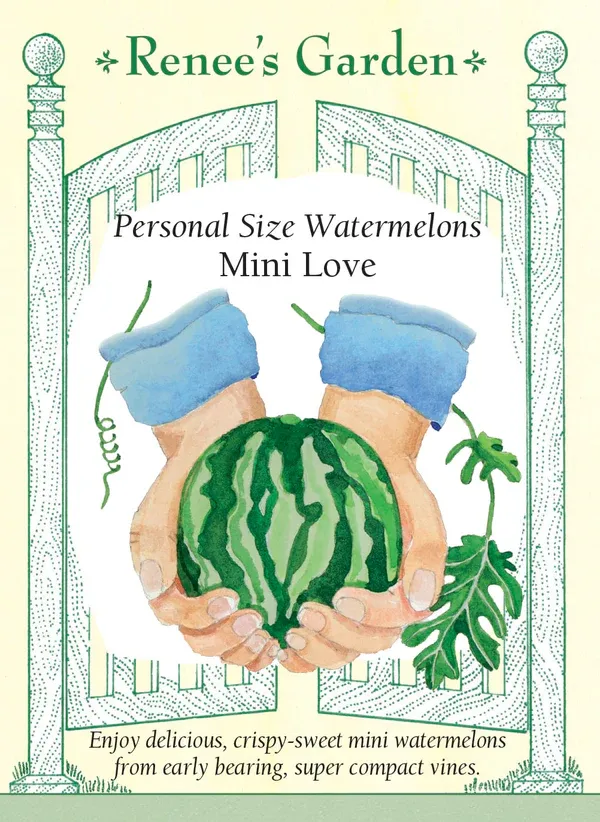(Seed) Watermelon Mini Love $4.99 (Seed) Watermelon Mini Love $4.99