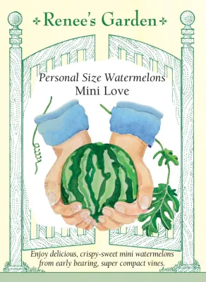 (Seed) Watermelon Mini Love $4.99 (Seed) Watermelon Mini Love $4.99