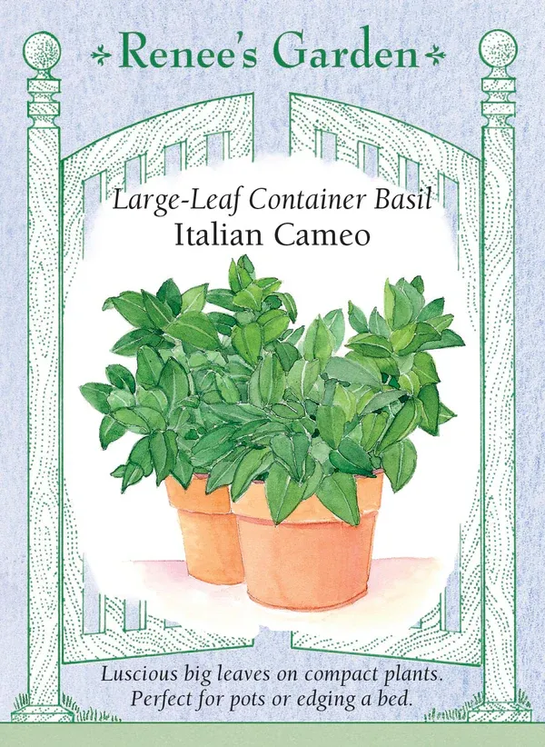 (Seed) Basil Italian Cameo Container $3.69