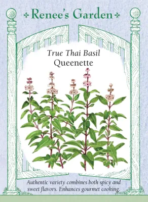 (Seed) Basil Queenette Thai $2.99