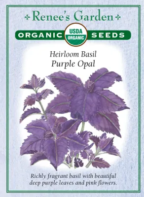 (Seed) Basil Purple Opal Organic $4.89
