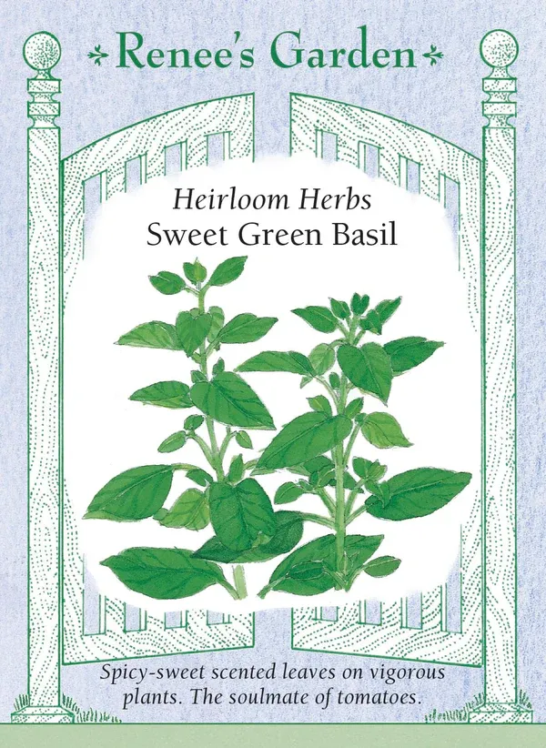 (Seed) Basil Sweet Green $2.99
