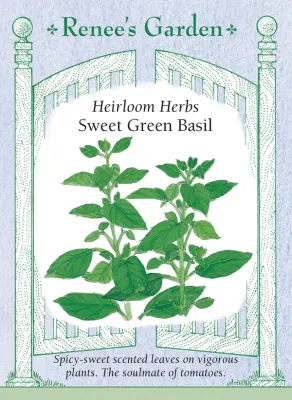 (Seed) Basil Sweet Green $2.99