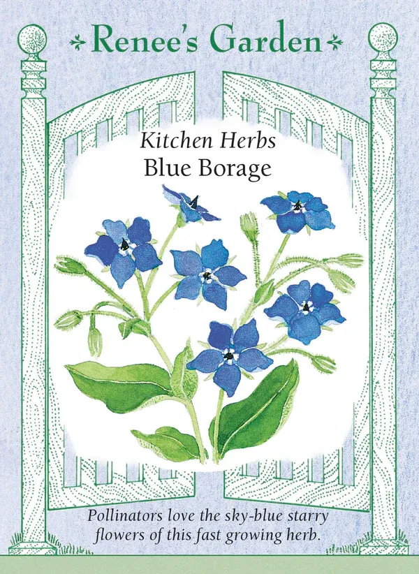 (Seed) Borage Blue $2.99