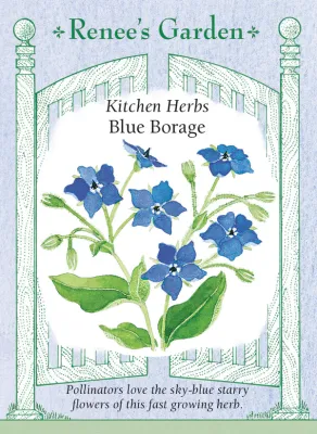 (Seed) Borage Blue $2.99