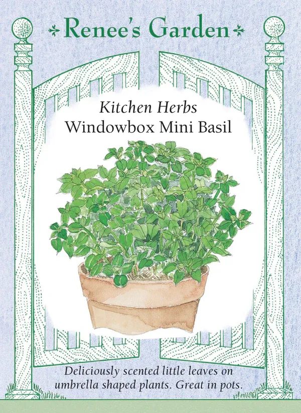 (Seed) Basil Windowbox $2.99