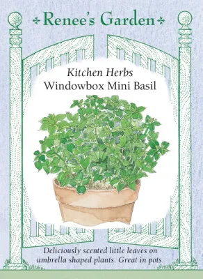 (Seed) Basil Windowbox $2.99