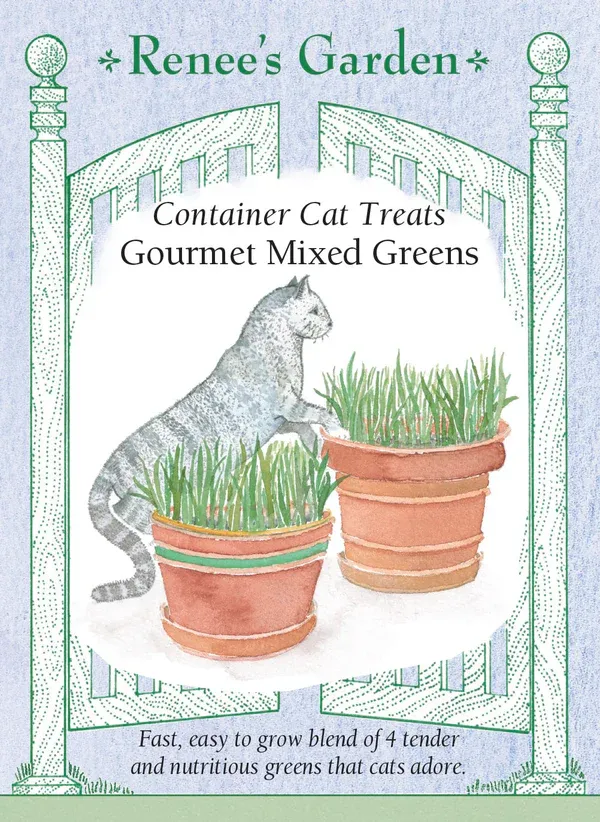 (Seed) Cat Treats Gourmet Mixed Greens $2.99