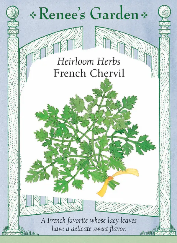 (Seed) Chervil French $3.39