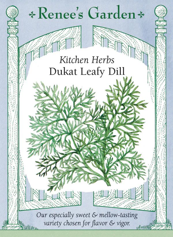 (Seed) Dill Dukat $2.99
