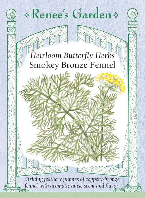 (Seed) Fennel Smokey Bronze $3.69