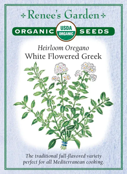 (Seed) Oregano Greek Organic $4.89