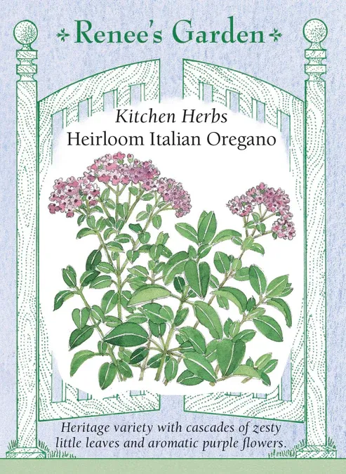 (Seed) Oregano Italian $2.99